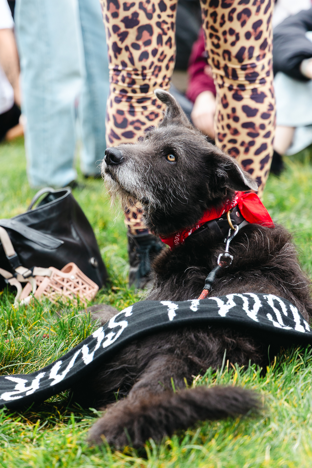 Praha je feministická